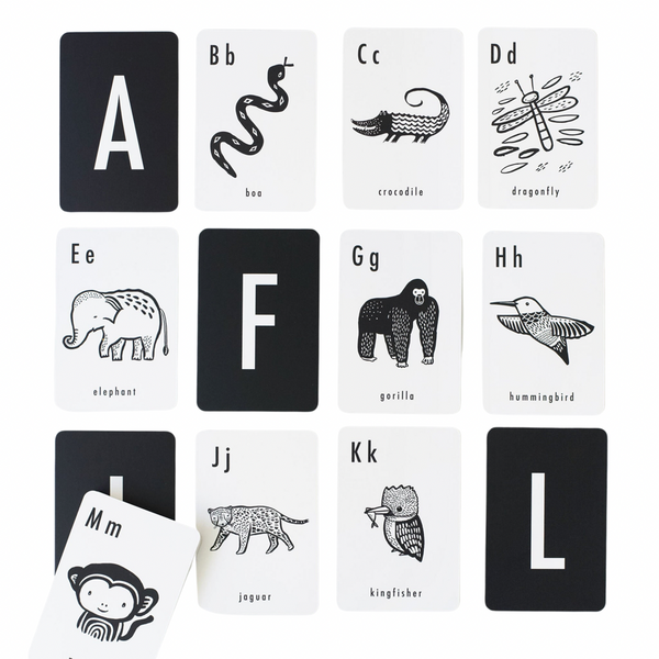 Jungle Alphabet Cards - HoneyBug 