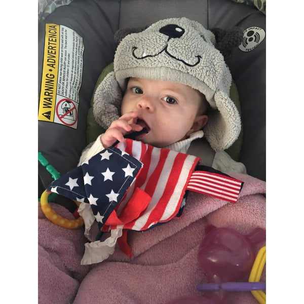 U.S. American Flag Learning Lovey - HoneyBug 