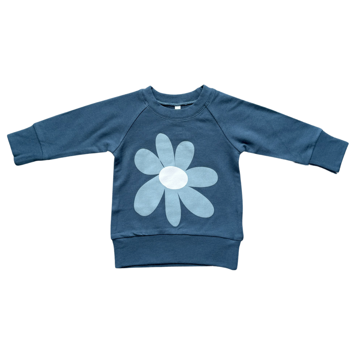 Girl's Raglan Sweatshirt - HoneyBug 
