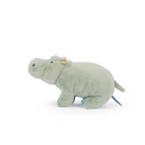 Large Hippopotamus - All Around the World