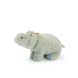 Large Hippopotamus - All Around the World