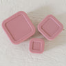 Silicone Bento Box Set/Set of 3