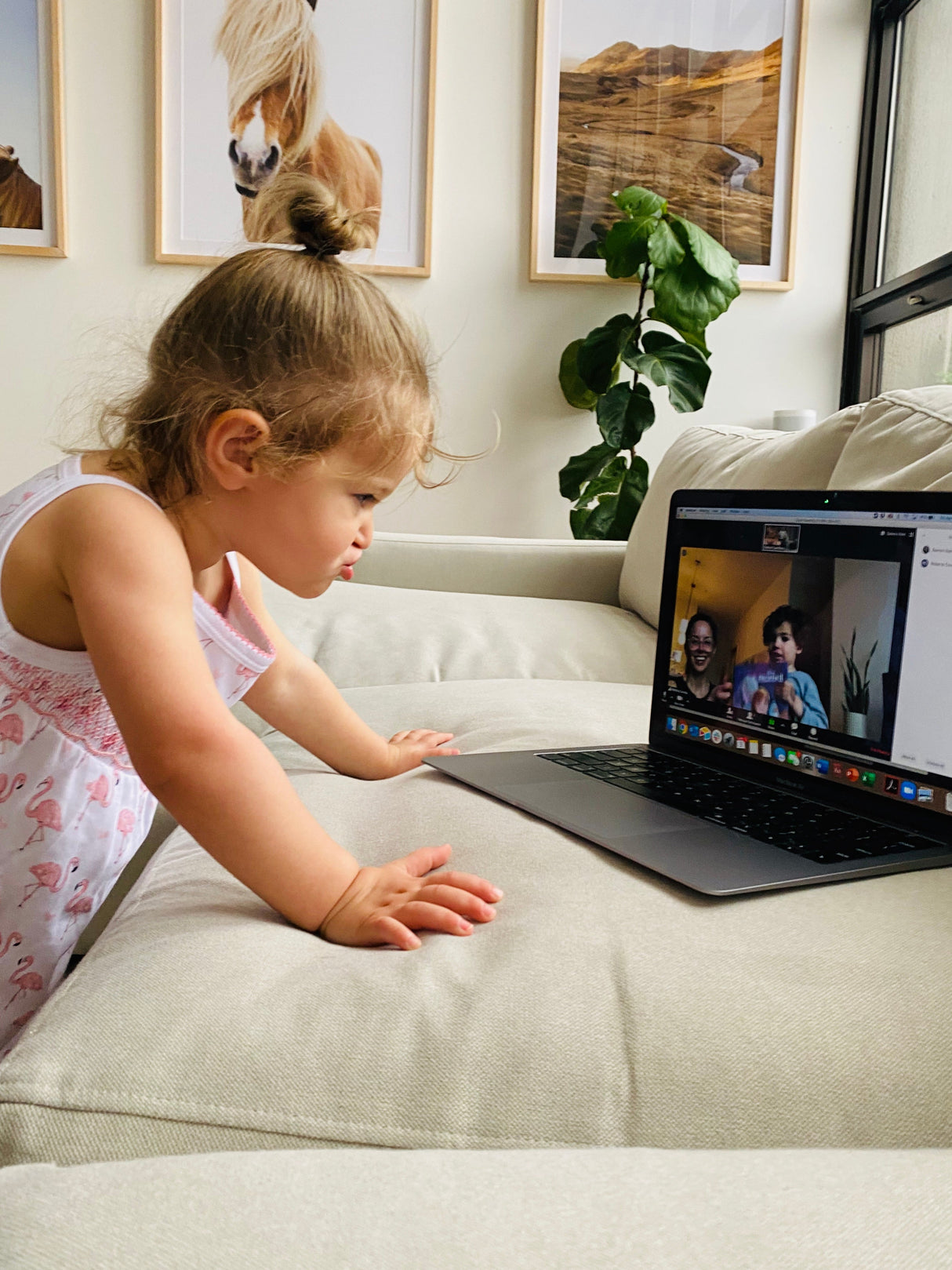 Pink Flamingo Smocked Dress - HoneyBug 