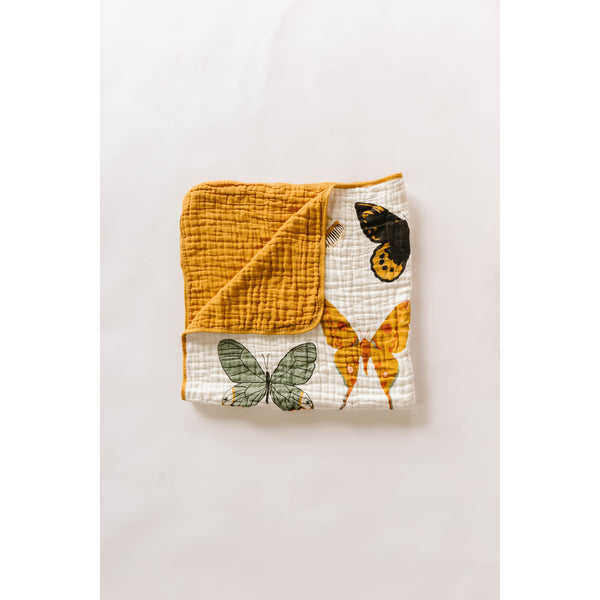Butterfly Collector Quilt - HoneyBug 