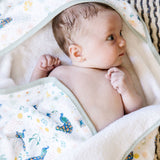 Infant Hooded Towel - Peacock - HoneyBug 