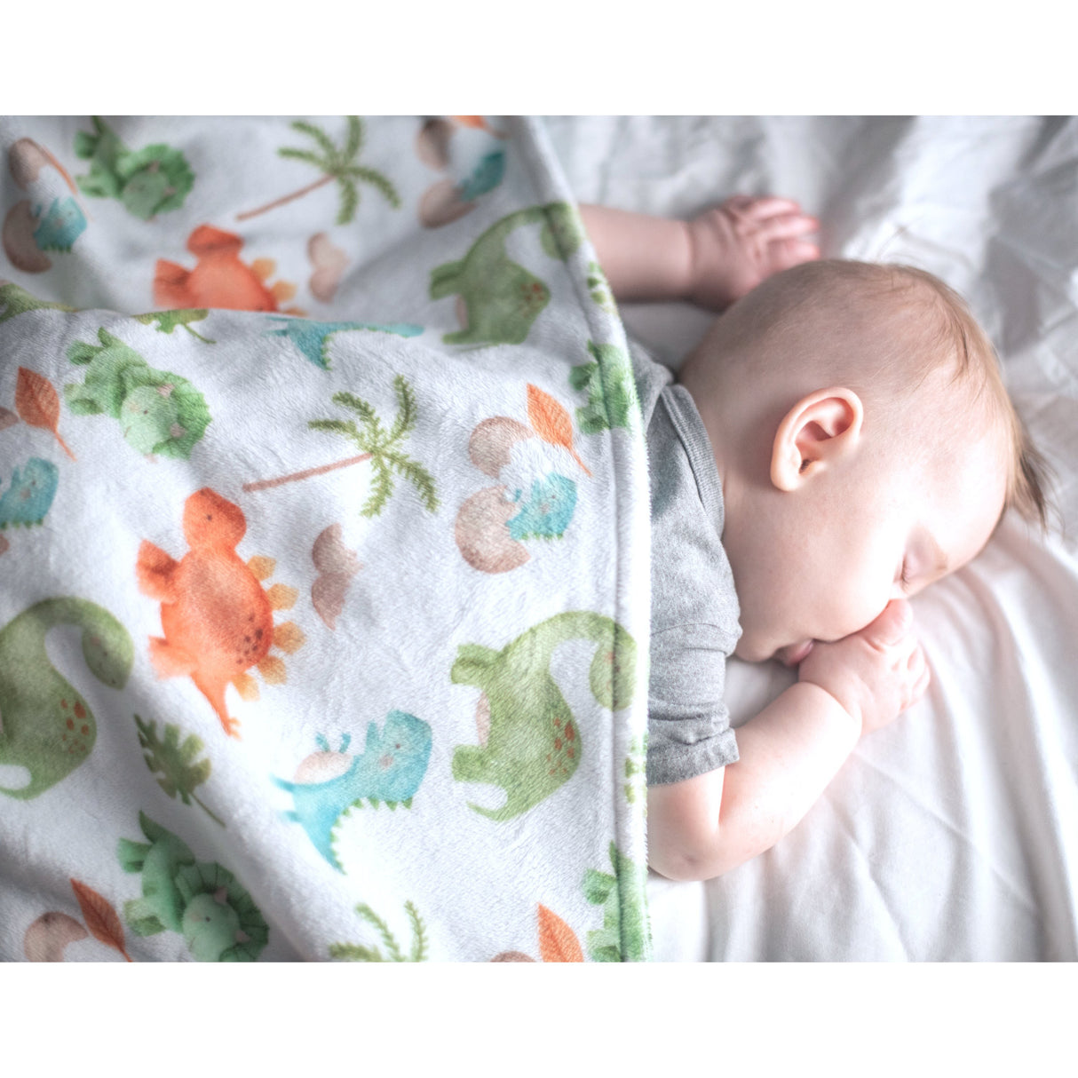 Premium Baby & Toddler Minky Blanket - Dinosaurs - HoneyBug 