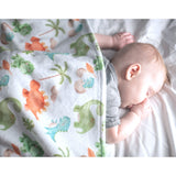 Premium Baby & Toddler Minky Blanket - Dinosaurs - HoneyBug 