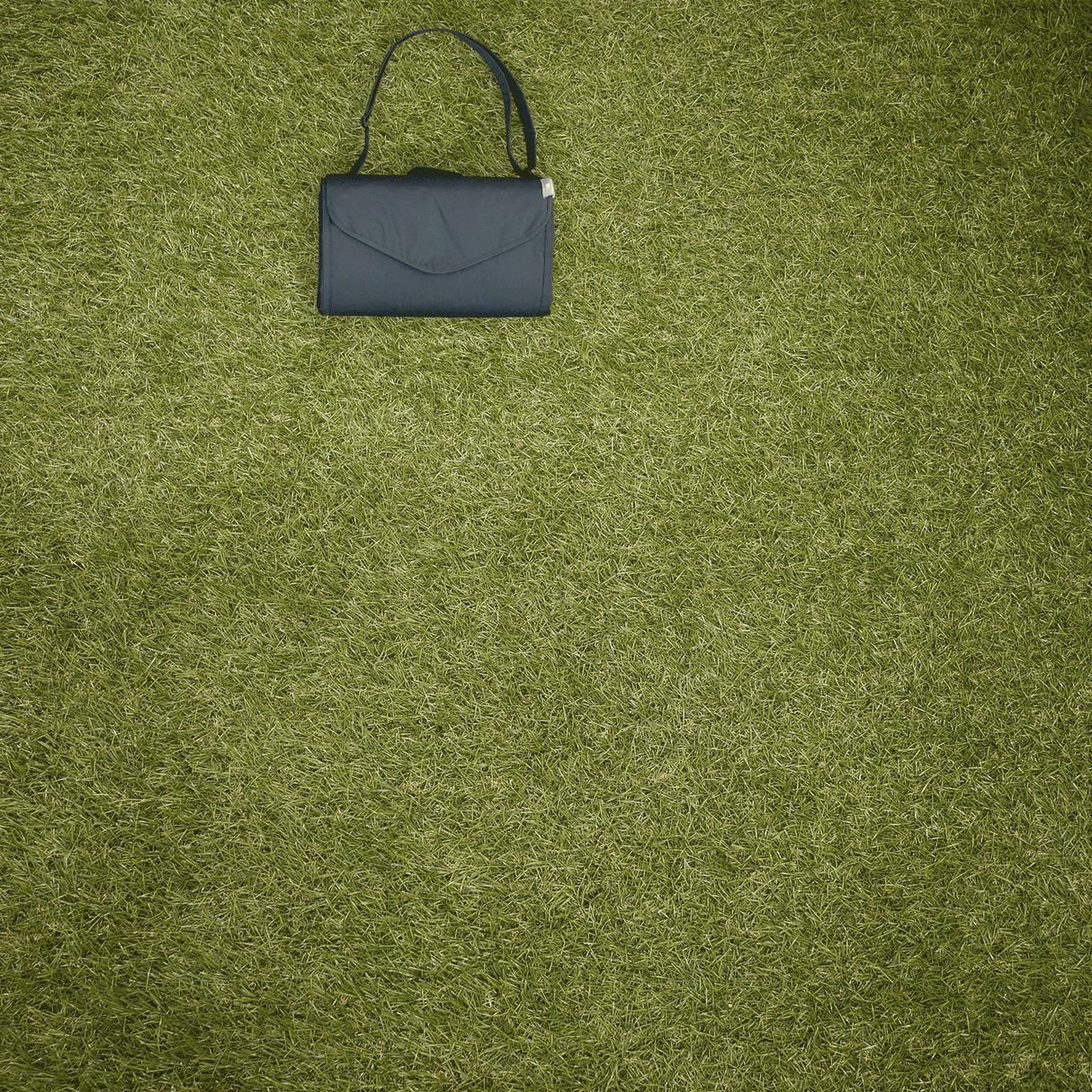 Outdoor Blanket - Midnight Poppy - HoneyBug 