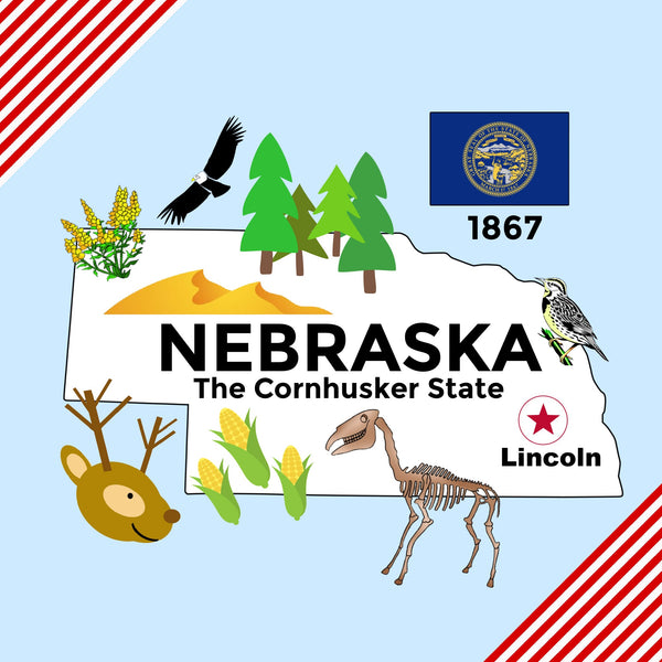 Nebraska State Tag Toy Crinkle Square - HoneyBug 