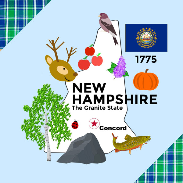 New Hampshire State Tag Toy Crinkle Square - HoneyBug 