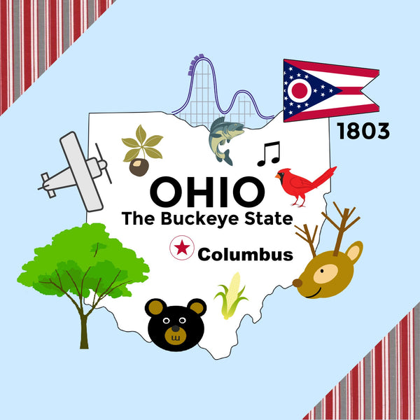 Ohio State Tag Toy Crinkle Square - HoneyBug 