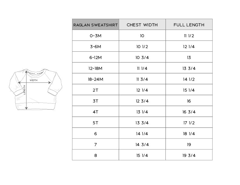 Boy's Raglan Sweatshirt - HoneyBug 