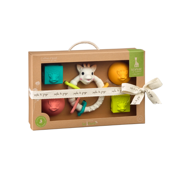 So'pure Early Learning Gift Set Blocks & Balls - HoneyBug 
