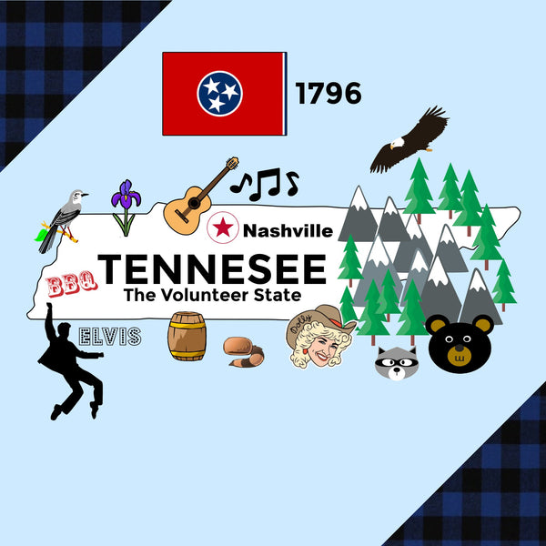 Tennessee State Tag Toy Crinkle Square - HoneyBug 