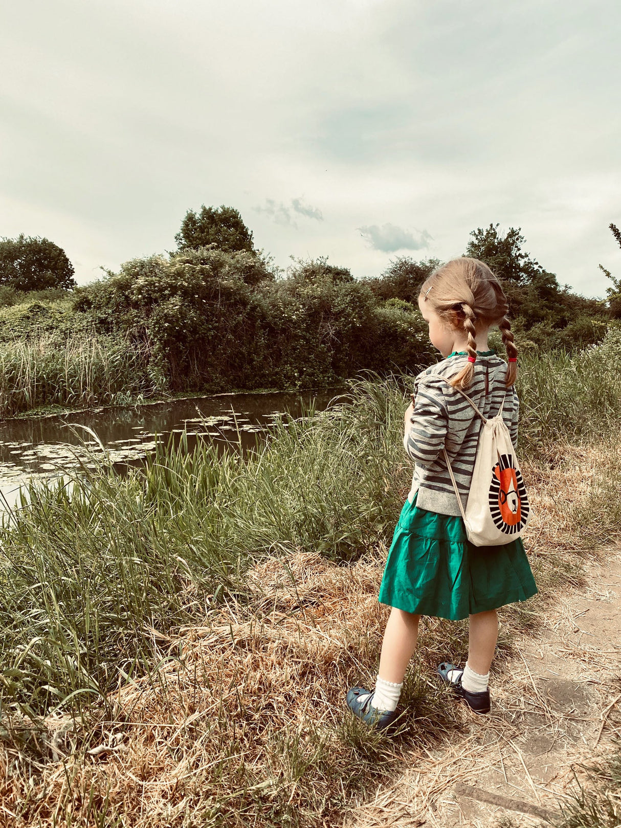 Safari Adventure - HoneyBug 