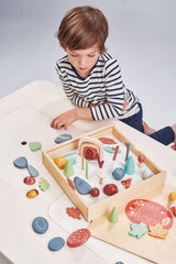 My Forest Floor - HoneyBug 