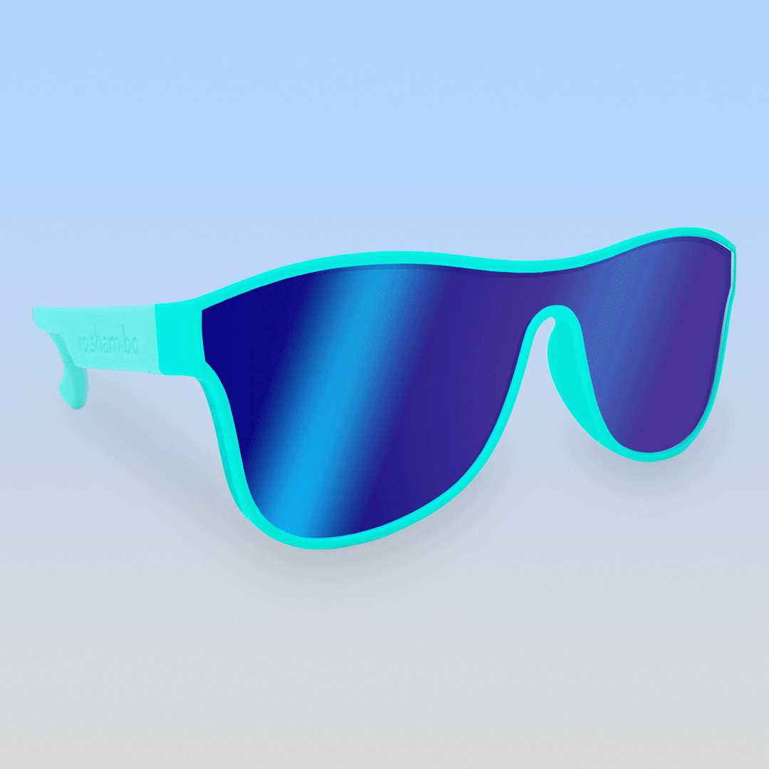 Collection flat design sunglasses Royalty Free Vector Image