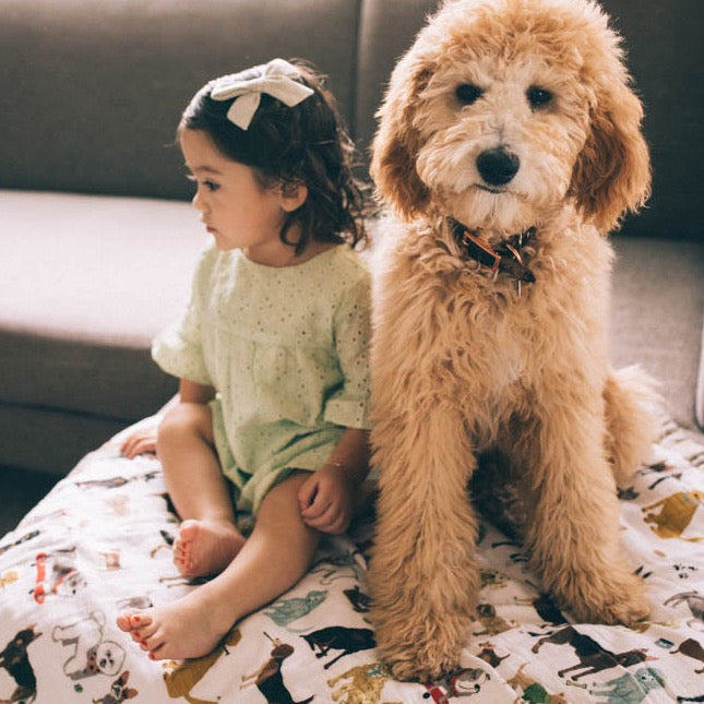 Cotton Muslin Quilted Throw - Woof - HoneyBug 