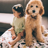 Cotton Muslin Quilted Throw - Woof - HoneyBug 