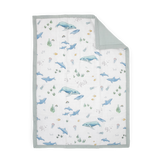 Cotton Muslin Toddler Bedding 3 Piece Set - Whales - HoneyBug 