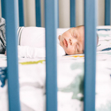 Cotton Muslin Crib Sheet - Dino Friends - HoneyBug 