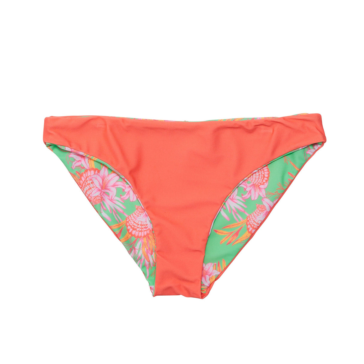 Womens Coastal Shells Sustainable Bikini Bottom - HoneyBug 