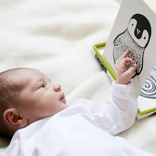 Art Cards for Baby - Black & White - HoneyBug 