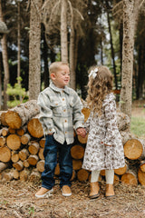 Brown Toile Dress - HoneyBug 