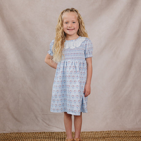 Blue Meadow Dress