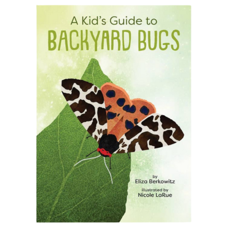 Kid’s Guide To Backyard Bugs - HoneyBug 