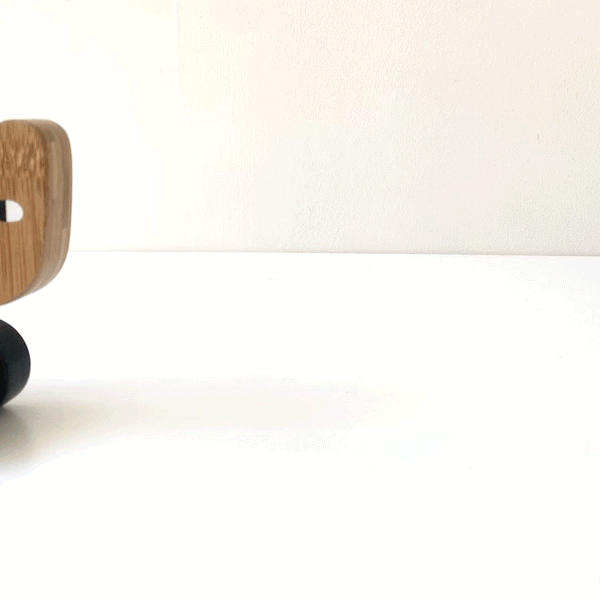 Bear Push Toy - HoneyBug 