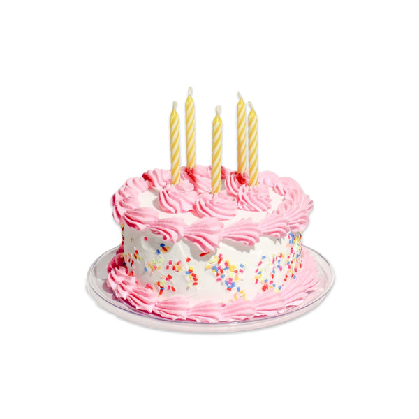 Birthday Fake Cake Craft Kit - HoneyBug 