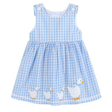 Blue Gingham Goose A Line Dress