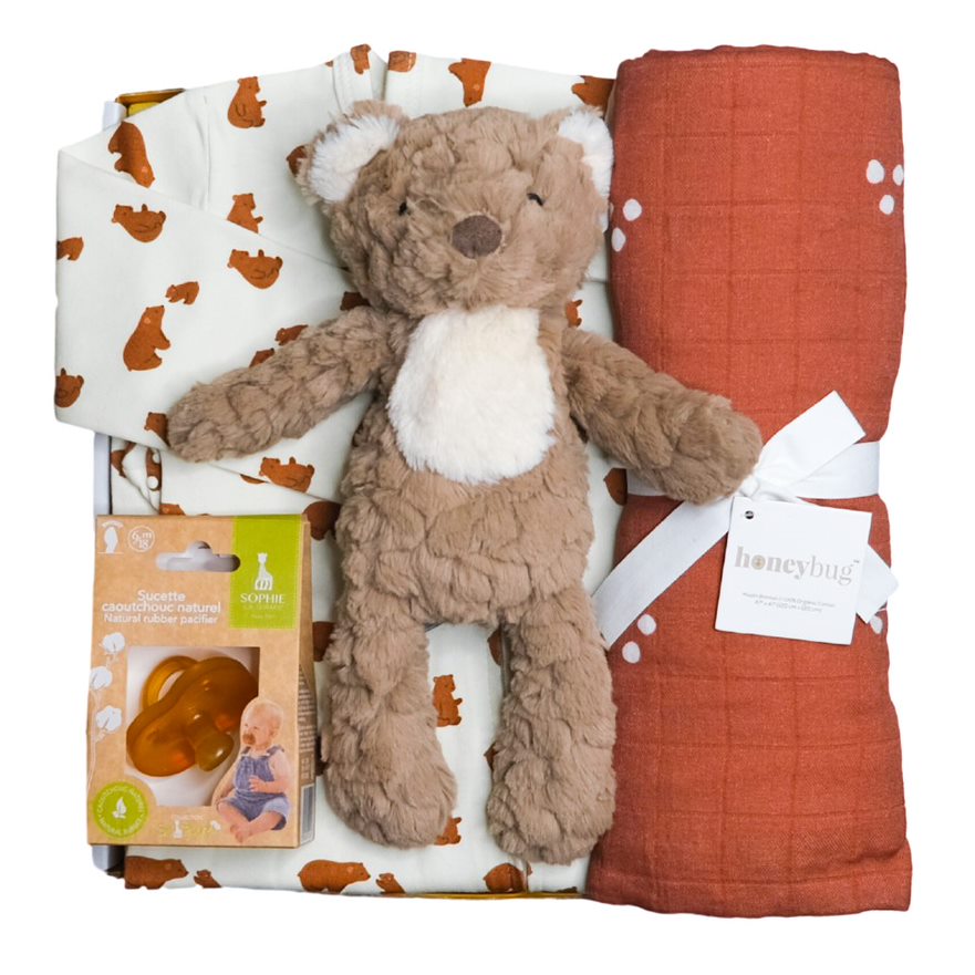 Brown Bear Gift Box - HoneyBug 