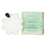 Edelweiss | Elevation Boxed Flower - HoneyBug 