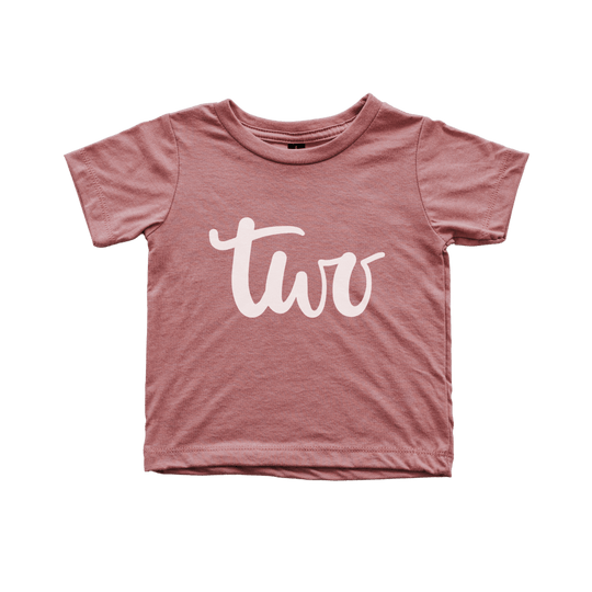 Two Birthday Shirt Kids Tee - HoneyBug 