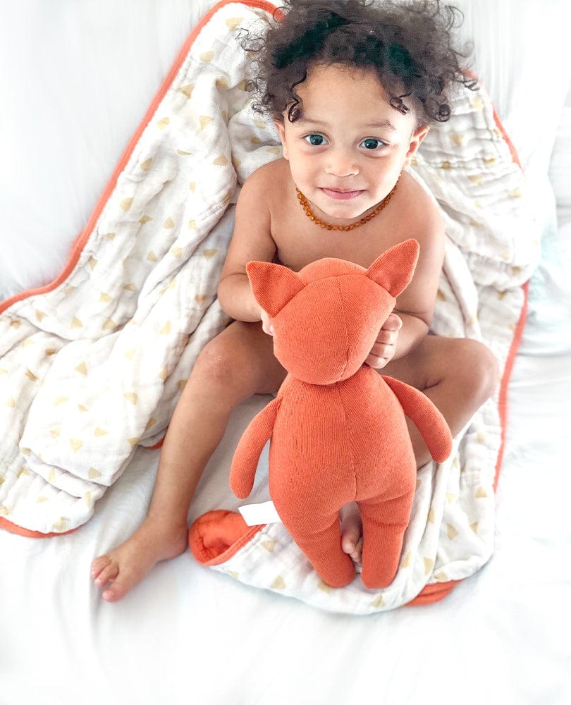 Terracotta Fox Gift Set - HoneyBug 