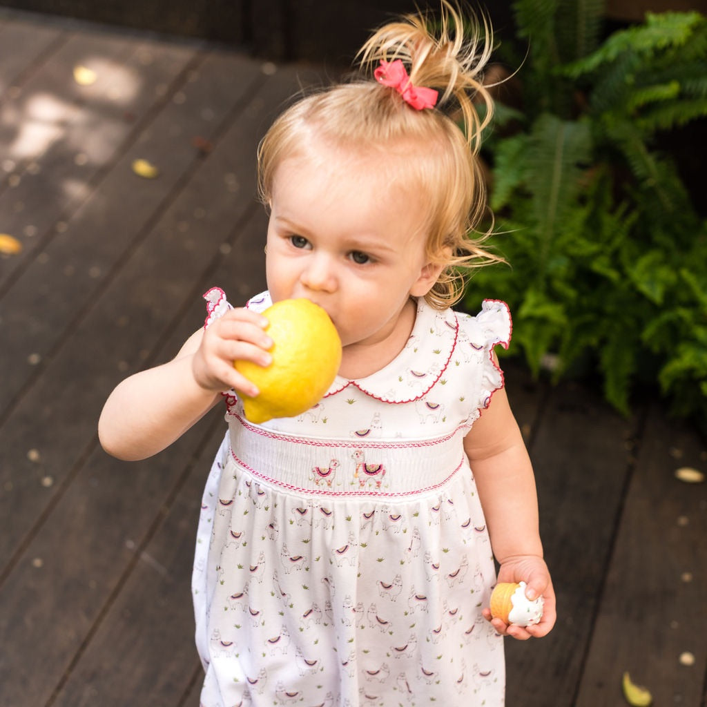 Alex the Alpaca Smocked Dress - HoneyBug 