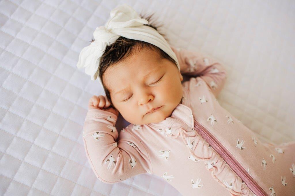 Ruffle 2 Way Zip Romper - Little Birds - HoneyBug 