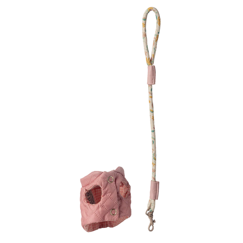 Pet supply, Harness and leash - Rose