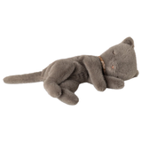 Sleeping kitten plush, Small - Grey