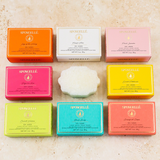 Pedi Buffer Assorted Pack - HoneyBug 