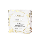 Sego Lily | Elevation Boxed Flower - HoneyBug 