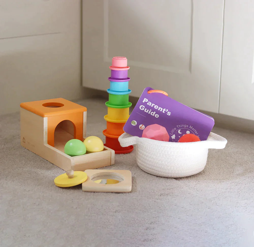 Tiny Land® Montessori Toys Set for Newborns (6-9 month) - HoneyBug 