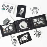 Baby Tummy Time Gallery with Mirror Bundle