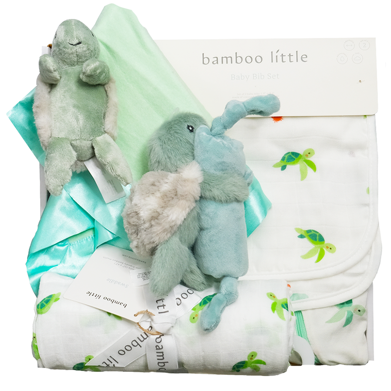 Turtle Time Gift Box – HoneyBug