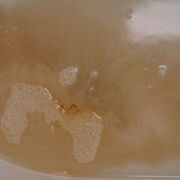 Rosehip Bath Soak - HoneyBug 