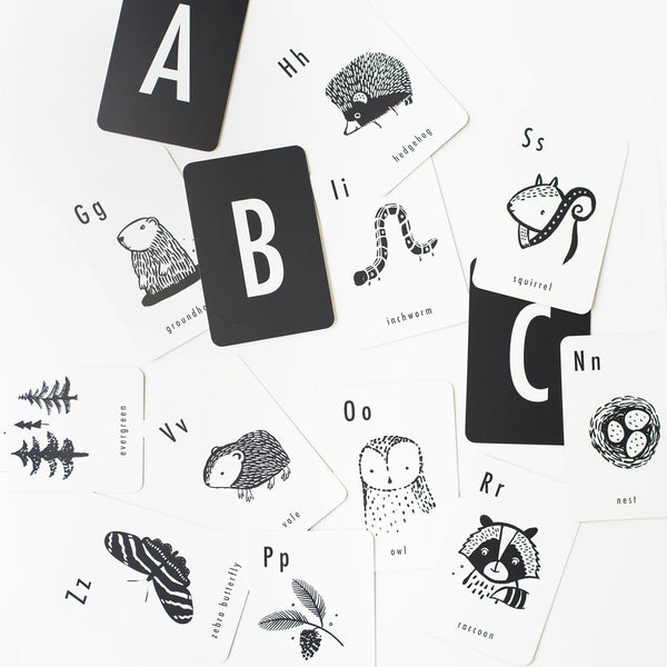 Woodland Alphabet Cards - HoneyBug 