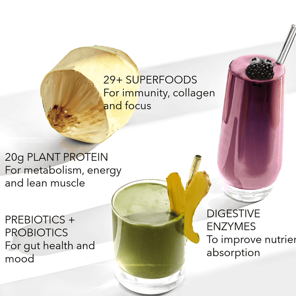 Organic Plant Protein + Superfood Smoothie Mix (Sample Box) by TUSOL Wellness - HoneyBug 