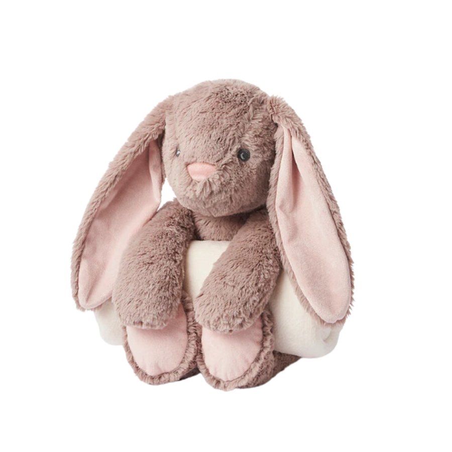 Bunny Bedtime Huggie Plush Toy - HoneyBug 
